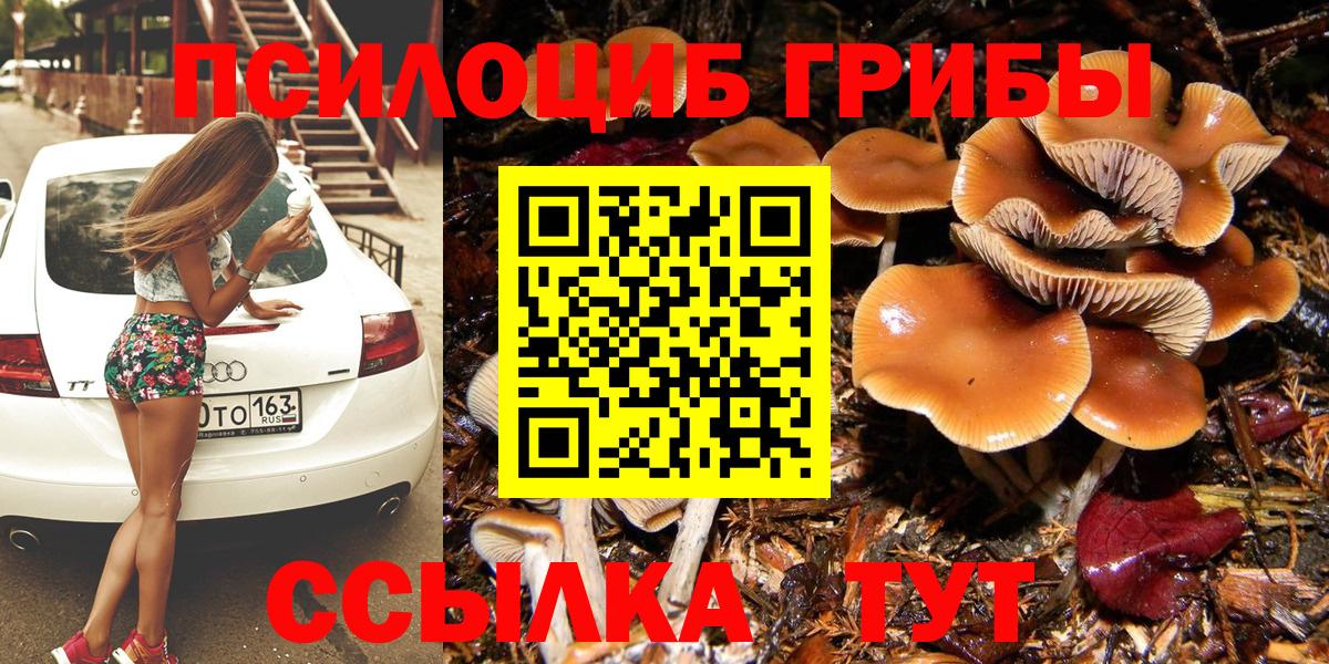 Псилоцибиновые грибы Psilocybe  Вход с VPN  Галлюциногенные грибы Magic Shrooms  Когалым 